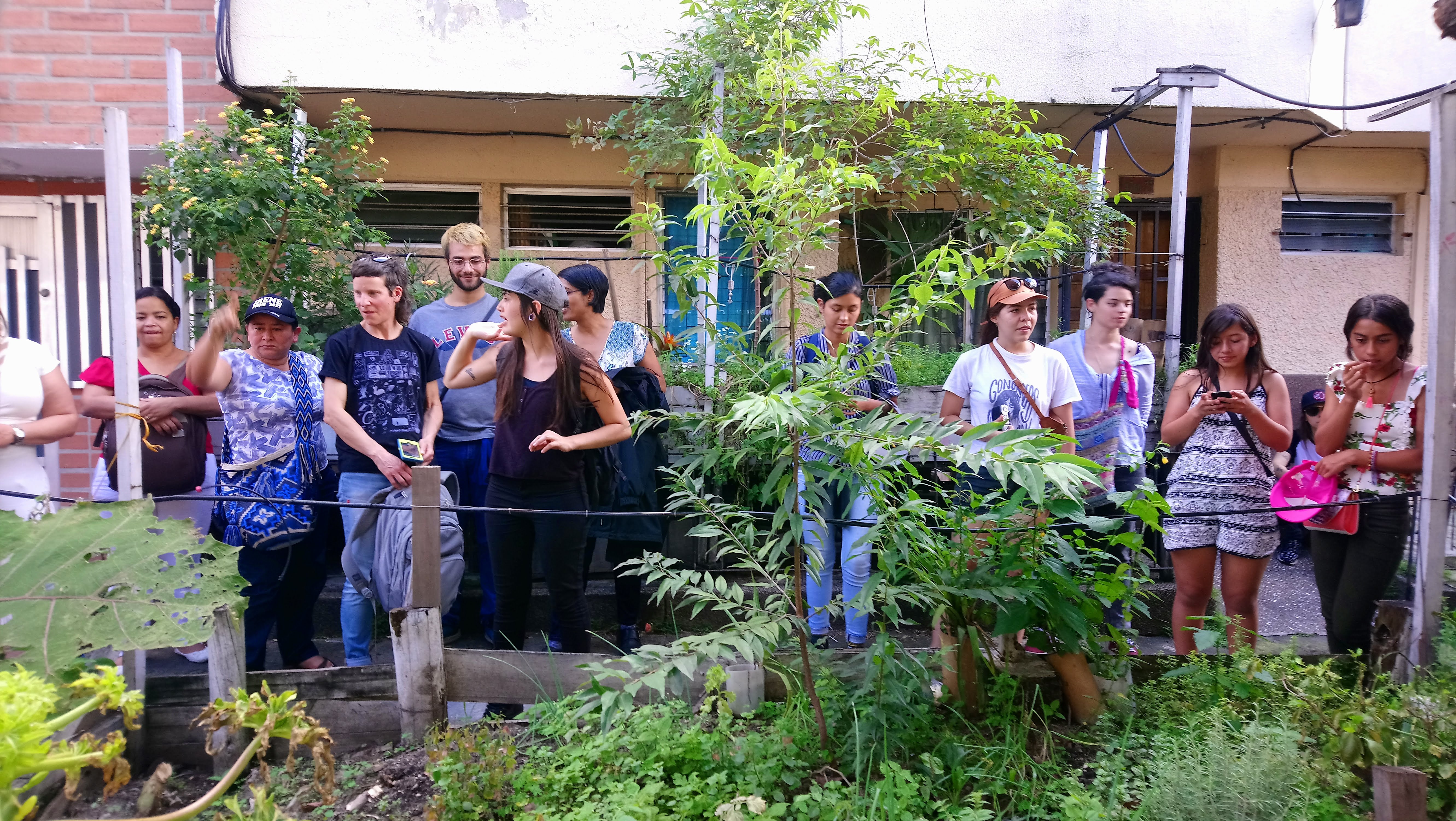 A group of people is surrounding an orchard. They mostly women. Some of them look like they are talking, some are standing with their cell phones.